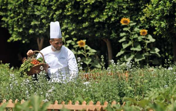 Weekly Cooking Classes at Movenpick Resort & Spa Tala Bay Aqaba Start with Organic Harvesting
