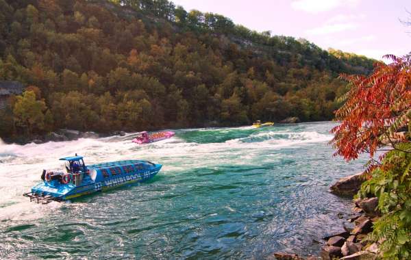 Fall Colour Tours for Adventure Lovers