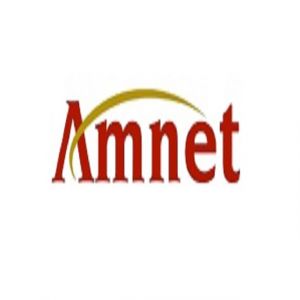 Amnet Technology Pte LtdProfile Picture