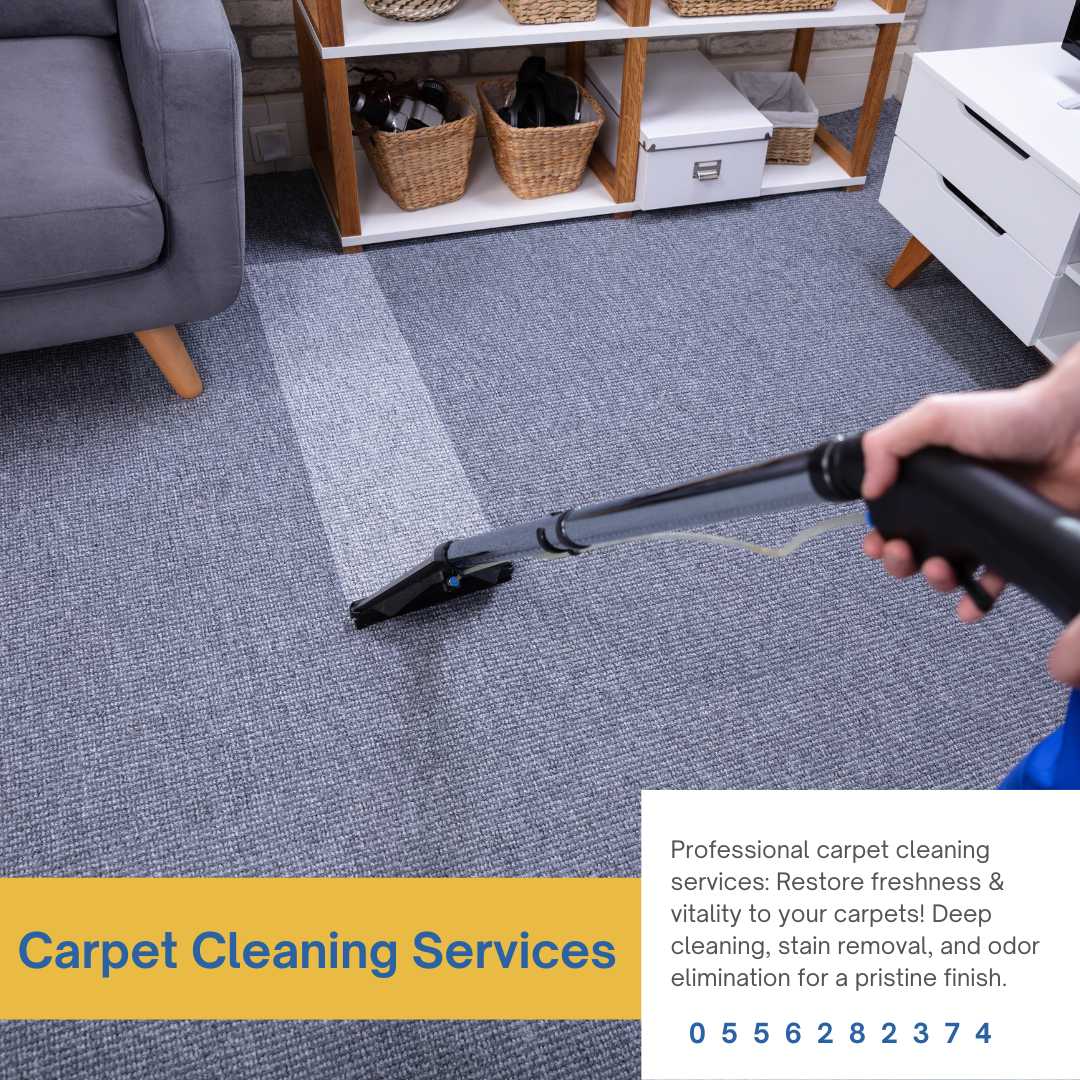 Embark on a Journey of Emotion and Cleanliness with Safaeewala Cleaning & Technical Services!'s Product catelog